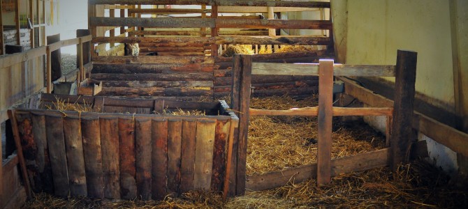 “EL CORRAL DE LAS OVEJAS” IZENEKO ERAIKINAREN ENKANTEAREN ARAUTEGIA