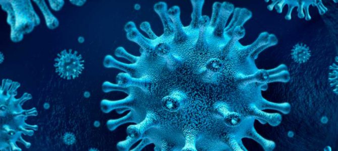 CORONAVIRUS- HUERTAS Y OTRAS RECOMENDACIONES