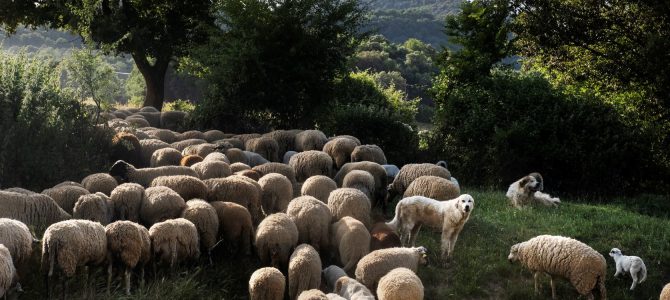 Zunbeltz espacio test 2 convocatorias