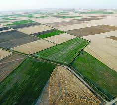 Renovación catastro camino Anderaz